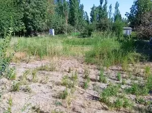 Фото к объявлению #22188477