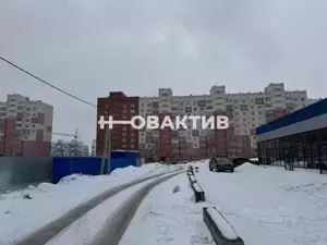 Фото к объявлению #20397223