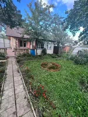 Фото к объявлению #22164033