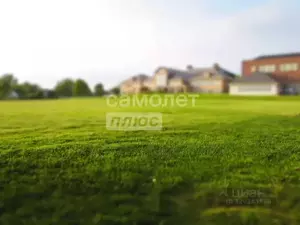 Фото к объявлению #22131690