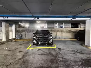 Фото к объявлению #22288576