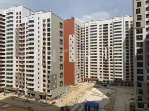 Фото к объявлению #19890284