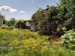 Фото к объявлению #22266784