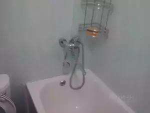 Фото к объявлению #20852315