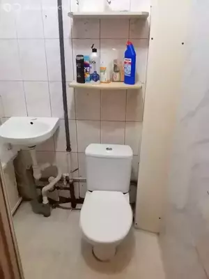 Фото к объявлению #21386341