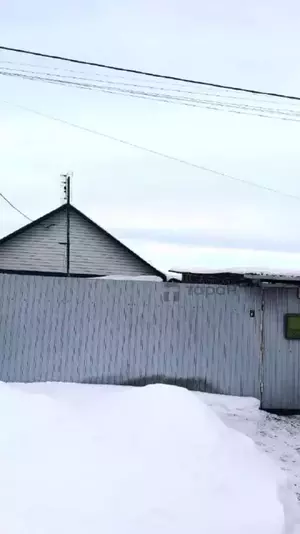 Фото к объявлению #22278335