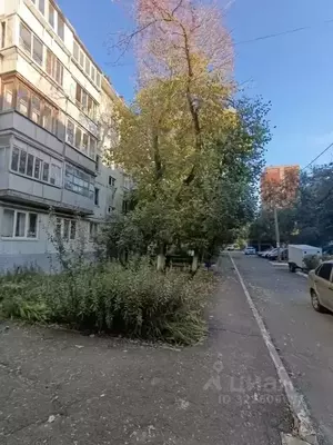 Фото к объявлению #22182601