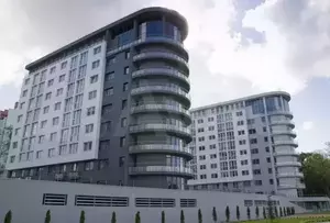 Фото к объявлению #20733576