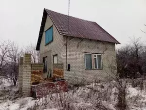 Фото к объявлению #20948206