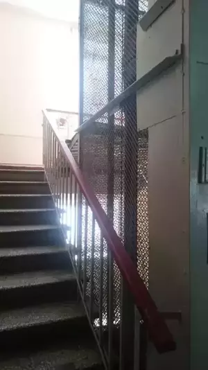 Фото к объявлению #22203232