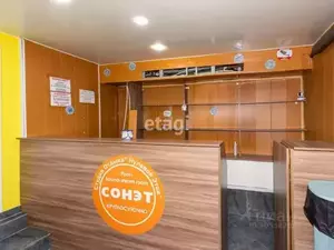 Фото к объявлению #20787009