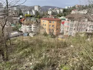 Фото к объявлению #21238073