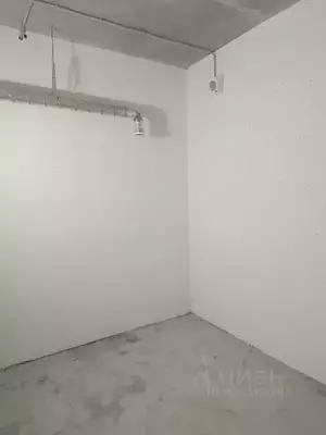 Фото к объявлению #22234157