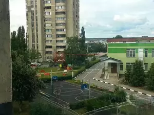 Фото к объявлению #22147785