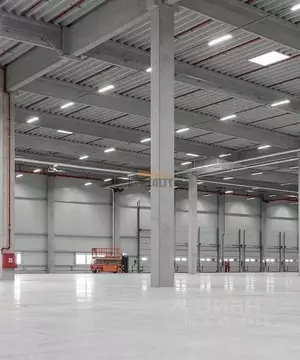 Фото к объявлению #22217537