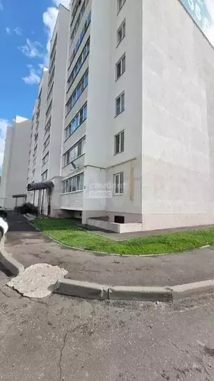 Фото к объявлению #20556739