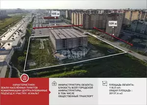 Фото к объявлению #22220415