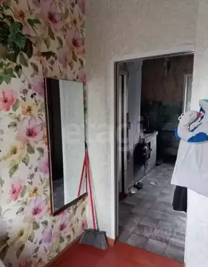 Фото к объявлению #22152597