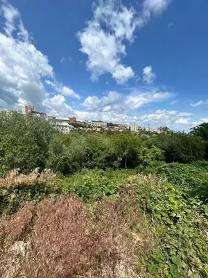 Фото к объявлению #22168162