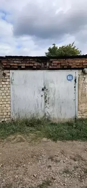 Фото к объявлению #21640195