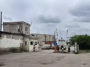 Фото к объявлению #22053012