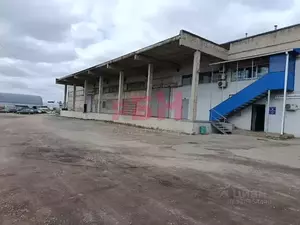 Фото к объявлению #22178448