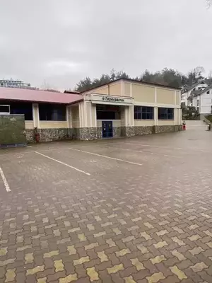 Фото к объявлению #21999435