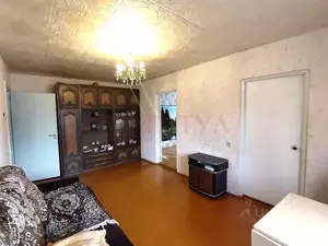 Фото к объявлению #22145034