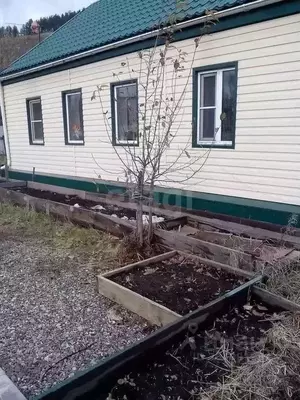 Фото к объявлению #20346627