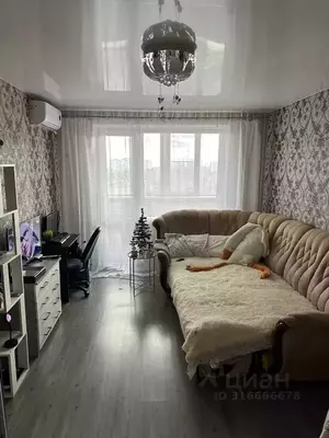 Фото к объявлению #22018797