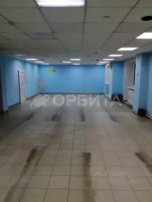 Фото к объявлению #21936768