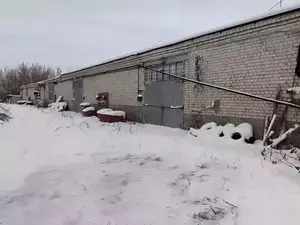 Фото к объявлению #21984520