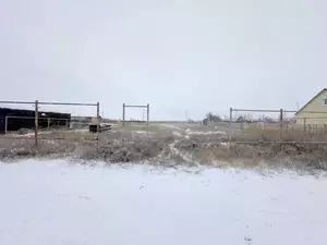 Фото к объявлению #21938326