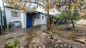 Фото к объявлению #22202516