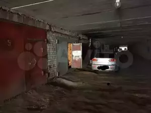 Фото к объявлению #20446915