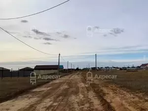 Фото к объявлению #22190735