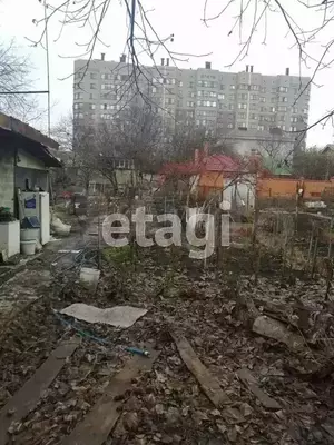 Фото к объявлению #21209804