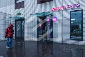 Фото к объявлению #22252043