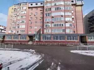 Фото к объявлению #20481933