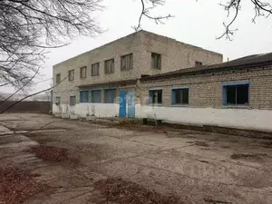 Фото к объявлению #21901016