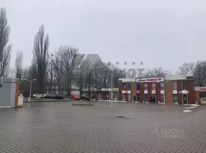 Фото к объявлению #22249305