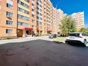 Фото к объявлению #21527652