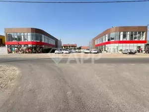 Фото к объявлению #22219426