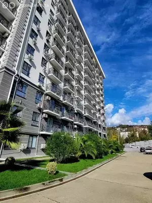 Фото к объявлению #22210524