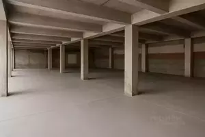 Фото к объявлению #22185311