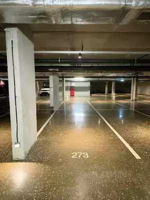 Фото к объявлению #20928759