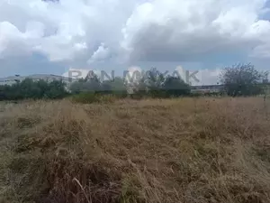 Фото к объявлению #20544078