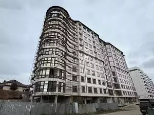 Фото к объявлению #21984749