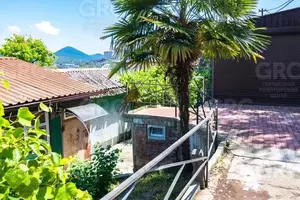 Фото к объявлению #22087206