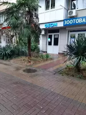 Фото к объявлению #20924541